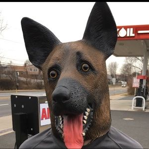 Meet your Posher, Mason